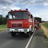 20160711_brand_feld_6.jpg