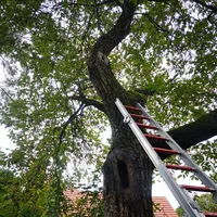 20190926_001.jpg