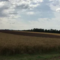 20160711_brand_feld_5.jpg