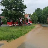 9545.jpg