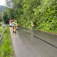 Baum_auf_Straße_1.jpg