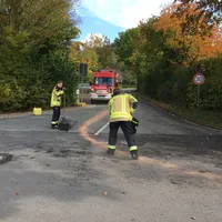olspur_2.jpg