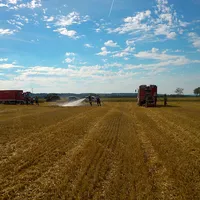 20160710_brand_feld_015.jpg