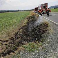 Brand_Freifläche_klein_1.jpg