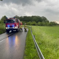 Baum_auf_Straße_2.jpg